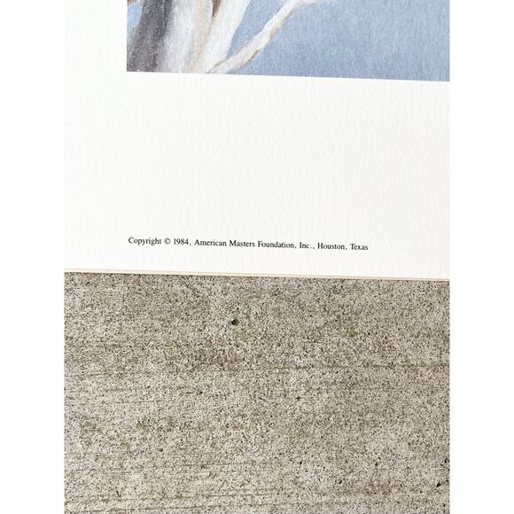 1984 Charles Fracé “Bandit, Raccoon” Large Signed Lithograph Print 30”X22” w/COA - Picture 10 of 14